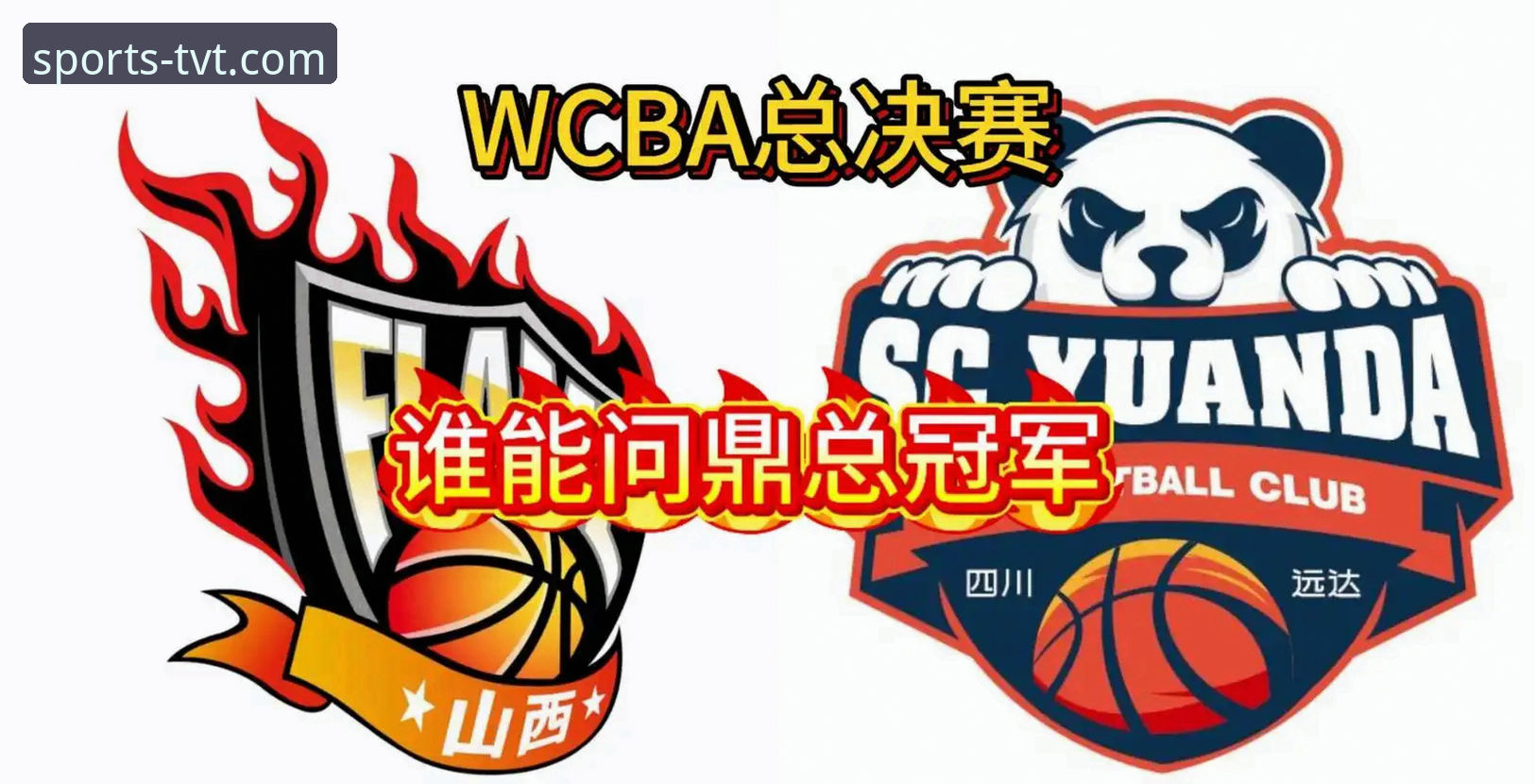资深球迷李浩然分享：用TVT体育平台追踪WCBA总决赛的实战心得