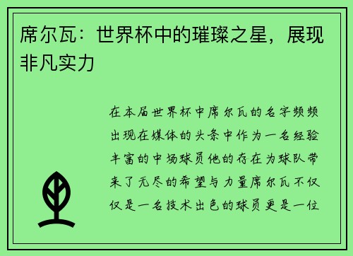 席尔瓦：世界杯中的璀璨之星，展现非凡实力